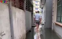 Ngập úng, hàng trăm hộ dân giữa Thủ đô phải bắc "cầu khỉ" để vào nhà