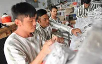 Thí điểm tổ chức cho phạm nhân lao động ngoài trại giam