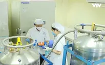 Vaccine dịch tả lợn châu Phi của Việt Nam giá như thế nào?