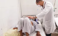 Cảnh giác với nguy cơ bùng phát dịch sốt xuất huyết Dengue ở miền Bắc