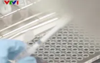 Hàn Quốc cấp phép vaccine COVID-19 nội địa đầu tiên