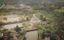 Phát sinh tiêu cực từ chậm bàn giao đất nông trường