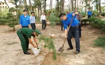 Phủ xanh đô thị tại Bình Thuận: Đã có doanh nghiệp tiên phong đồng hành