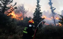 Cháy rừng hoành hành gần Athens, nhiều ngôi nhà bị thiệt hại