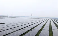 Việt Nam dẫn đầu Đông Nam Á về năng lượng sạch
