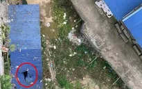 Điều tra nguyên nhân nam thanh niên rơi từ tầng 11 tử vong ở Thái Nguyên