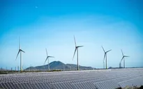 Bộ Công Thương lý giải về đề xuất tiếp tục phát triển gần 2.430 MW điện mặt trời