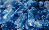 Ngày Đại dương thế giới 2022: Biến rác thải nhựa thành tài nguyên để chung tay giải cứu đại dương