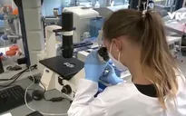 Virus đậu mùa khỉ có thể đã âm thầm lây lan trong nhiều năm trước