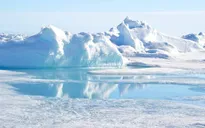 Nhiều nước nối lại hợp tác tại Hội đồng Bắc Cực