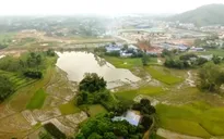 Nhiều ruộng lúa ngập như hồ suốt nhiều năm