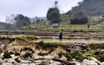 Sẽ đền bù cho người dân bị ảnh hưởng bởi Thủy điện Đắk Re trong tháng 6