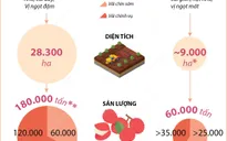 [INFOGRAPHIC] Niên vụ năm 2022, vải thiều được mùa