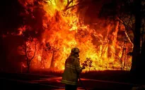 Cháy rừng ngày càng kéo dài tại Australia
