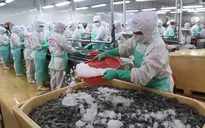Xuất khẩu thủy sản tăng trưởng kỷ lục