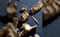 Khai quật khu mộ Anglo-Saxon có tuổi đời lên tới 1.600 năm