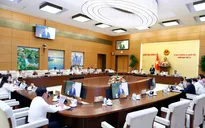 Chuyển mục đích sử dụng hơn 1.000 ha rừng để xây cao tốc Bắc - Nam