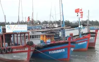 Ngư dân phấn khởi vì giá dầu giảm
