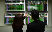 Thị trường ngập sắc xanh, VN-Index tăng gần 20 điểm