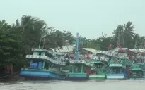 Giảm 20% giá phòng cho du khách bị kẹt lại Phú Quốc do thời tiết xấu