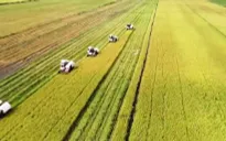 Ưu tiên nguồn lực cho nông nghiệp, nông dân, nông thôn