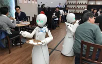 Robot giúp Nhật Bản giải quyết bài toán nhân công