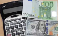 Đồng Euro phục hồi sau khi để “thủng” mức ngang giá với đồng USD