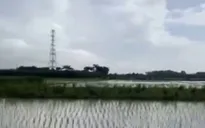 Hai phụ nữ tử vong do sét đánh