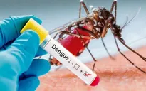 Bà Rịa - Vũng Tàu ghi nhận thêm 1 ca tử vong do sốt xuất huyết