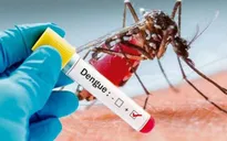 Nhiều phụ nữ mang thai mắc sốt xuất huyết biến chứng nặng