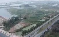 Hạn chế giao, cho thuê đất không qua đấu thầu, đấu giá