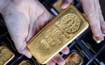Giá vàng rơi tự do