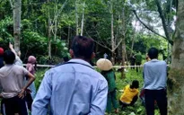 5 giờ đưa thi thể nạn nhân bị kẹt trên núi đá vôi xuống đất