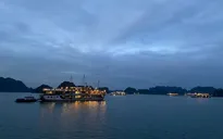 Rực rỡ đêm du thuyền trên vịnh Hạ Long