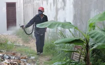 Hơn 3.300 ca mắc, Đà Nẵng quyết liệt triển khai các biện pháp phòng sốt xuất huyết