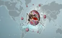 Cả nước ghi nhận hơn 224.000 ca mắc, 92 ca tử vong do sốt xuất huyết