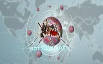 TP. Hồ Chí Minh ghi nhận thêm 3 ca tử vong do sốt xuất huyết