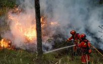 "Chảo lửa" thiêu đốt nhiều ngôi nhà ở Tây Ban Nha