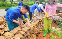 Xây mới hơn 1.000 nhà tránh lũ hỗ trợ người dân các địa phương