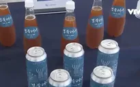Bia thủ công làm từ rong biển