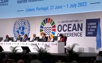 UNESCO công bố báo cáo tình trạng đại dương