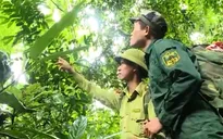 Bảo tồn động vật hoang dã - Những nỗ lực không ngừng nghỉ