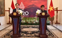 Tăng cường hợp tác Việt Nam - Indonesia