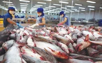 Cơ hội đẩy mạnh xuất khẩu thủy sản sang EU
