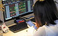 Kênh đầu tư nào tạo hiệu suất sinh lời hấp dẫn?