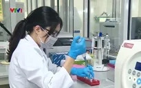 Nỗ lực tìm kiếm và giám định ADN liệt sĩ