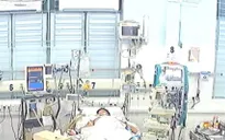 Cứu sống bé trai sốc sốt xuất huyết, suy đa tạng