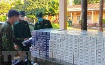 Lực lượng biên phòng đã bắt giữ và xử lý hơn 4.500 vụ án trong 6 tháng đầu năm