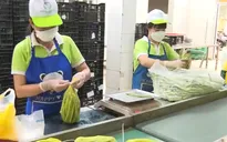 Đánh giá hiệu quả kinh tế tập thể theo tiêu chí toàn diện