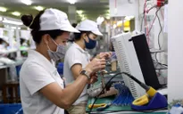 Cơ hội đón "đại bàng" FDI